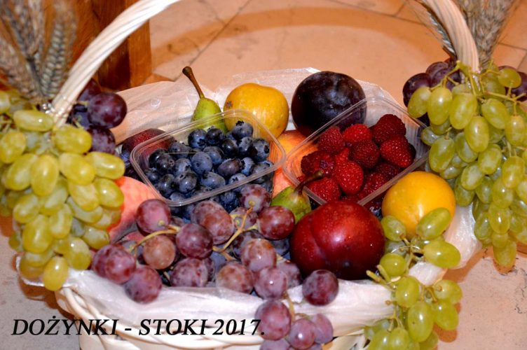 Dożynki na łódzkich Stokach - 2017