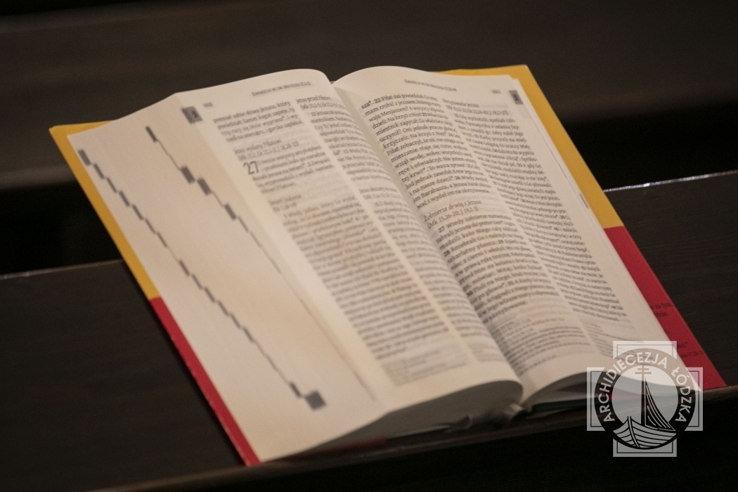 Pustynia w Łodzi - 28 lutego