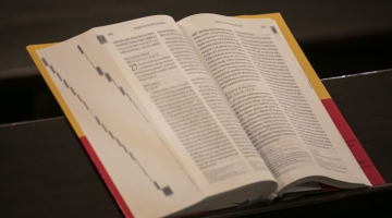 Pustynia w Łodzi - 28 lutego