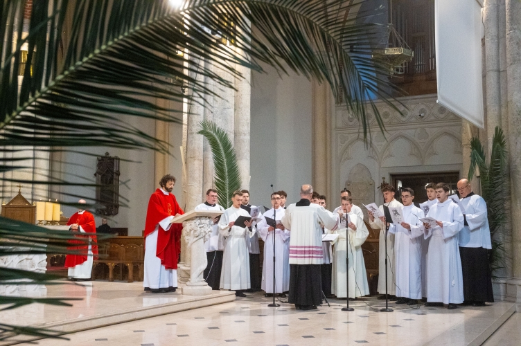 Niedziela Męki Pańskiej w łódzkiej katedrze - 2026