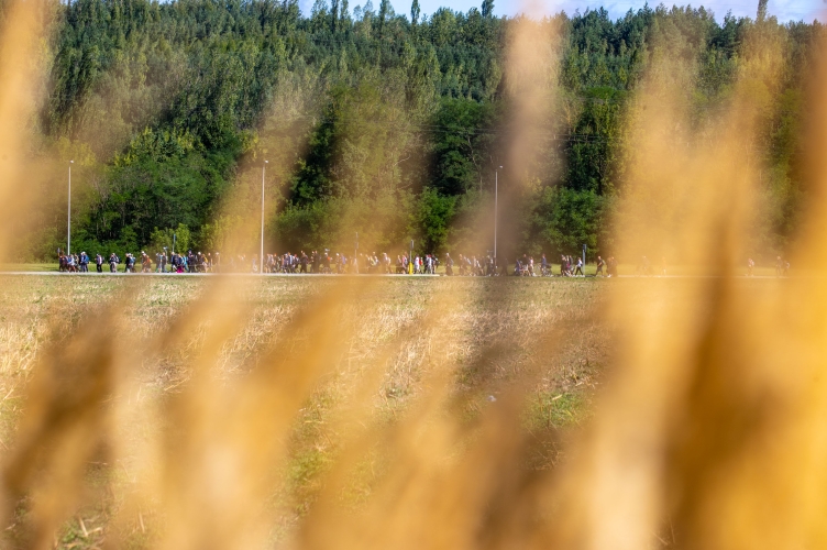 Czwarty dzień na pątniczym szlaku 101 Pieszej Pielgrzymki Łódzkiej na Jasną Górę 2026
